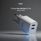 10W wall charger — dual USB-A