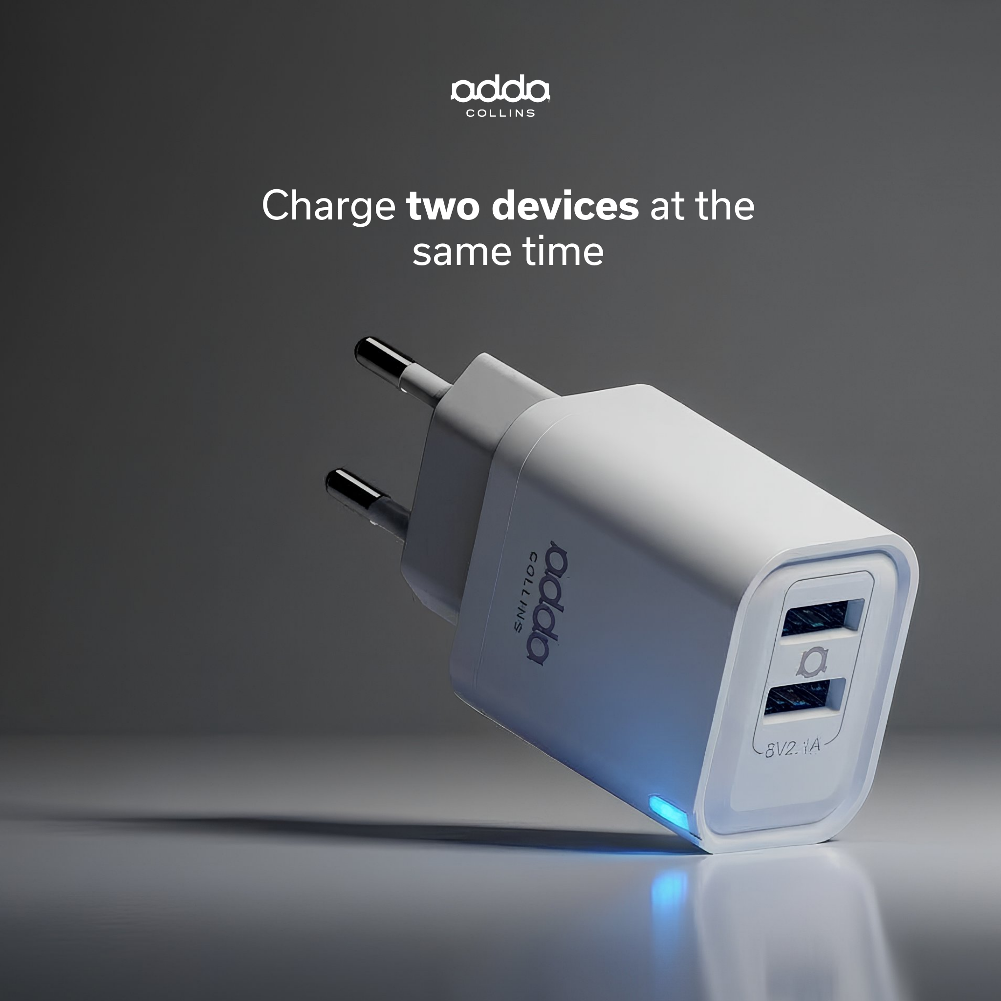 10W wall charger — dual USB-A
